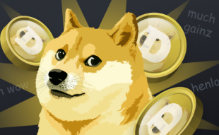 dogecoin plunge xrp20 alternative