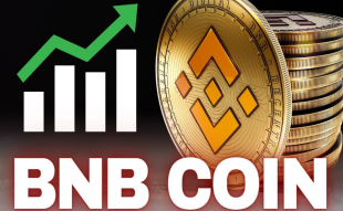 BNB Price Prediction: Binance Token Could Eclipse Records; Wall Street Memes Draws Attention