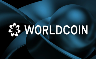 Worldcoin and Shibie Coin in Tandem: Which Price is Predicted to Soar Higher?