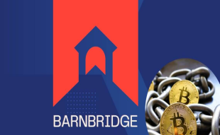 BarnBridge Price Prediction: Could The Bond Coin Recover Soon?