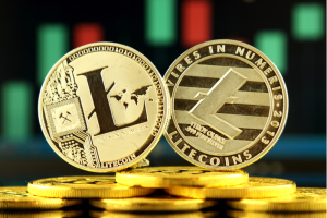 Litecoin's Price to Plummet Soon? Why Ypredict Coin Could be Your Safe Haven