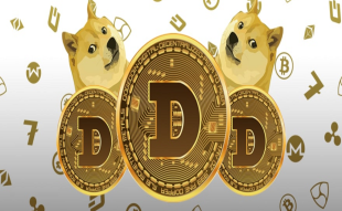 Dogecoin Price