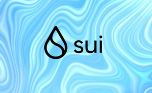 Sui Price Prediction: As SUI Maintains Its $0.58 Mark – Is a Breakout Imminent?
