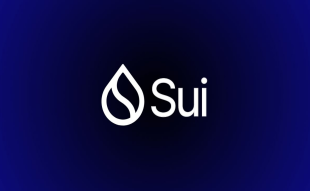 SUI Price Prediction: SUI Targets $0.60 - Strong Fundamentals or Hype?