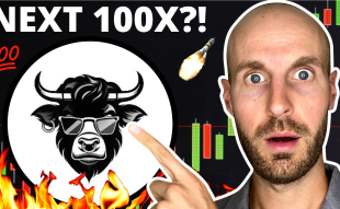 One Of The Most Followed Crypto YouTube Channels Tips The Next 100x Meme Coin