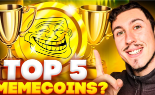 Top Meme Coins to Buy in The Crypto Crash