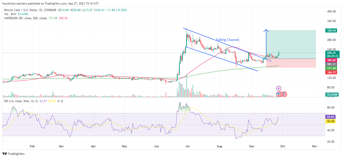 BCHUSD Price Chart