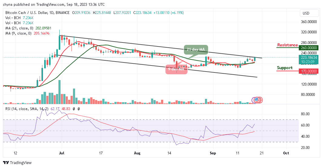 Bitcoin Cash Price Prediction for Today, September 18 – BCH Technical Analysis