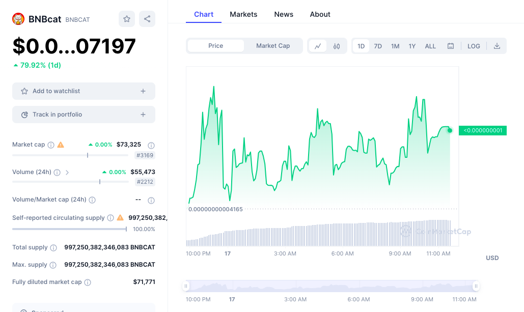 BNBcat price chart