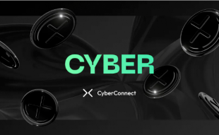 Cyberconnect