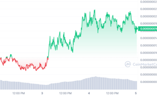 shepe token