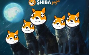 Shiba Saga (SHIA)