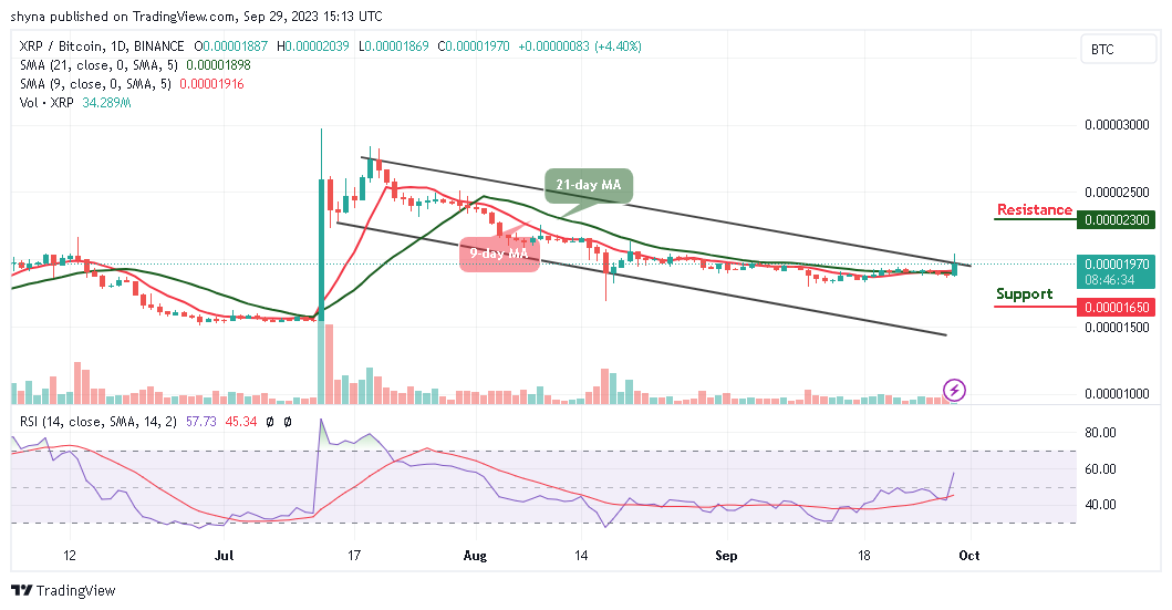 Ripple Price Prediction for Today, September 29 - XRP Technical Analysis