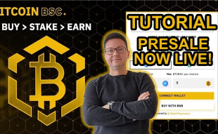 How To Buy Bitcoin BSC On Presale - Alessandro De Crypto Video Review