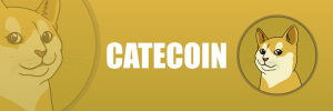 cats coin