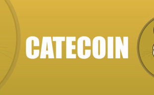 cats coin