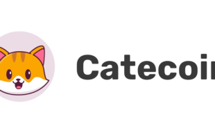 CATECOIN CAT