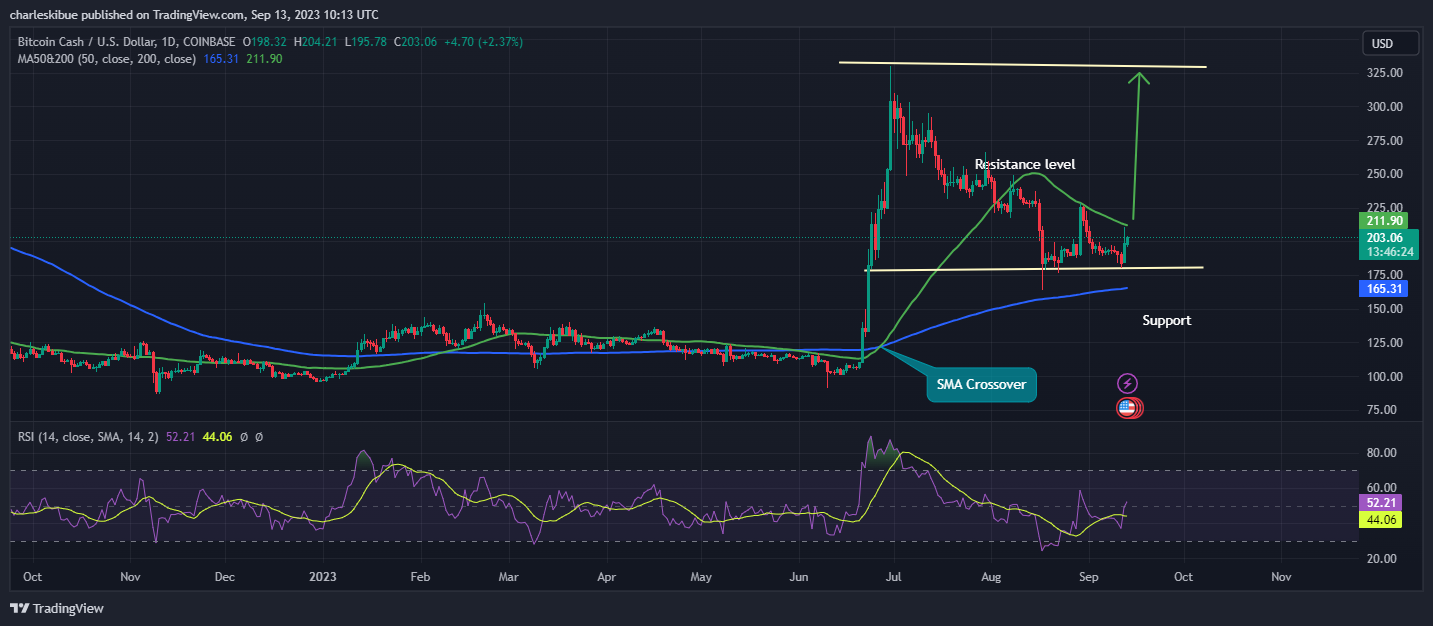 BCH/USD Chart Analysis. Source: Tradingview.com