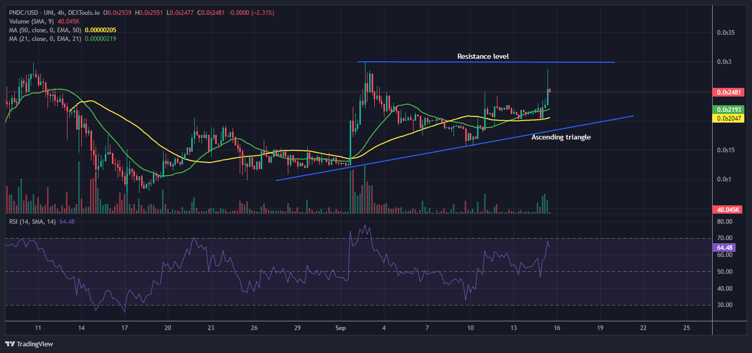 PNDC/USD Chart Analysis. Source: Dextools.io