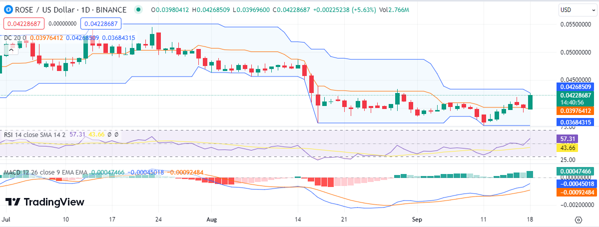 Oasis Network (ROSE) Price Prediction: Will ROSE Double Its Value by Year's End? 