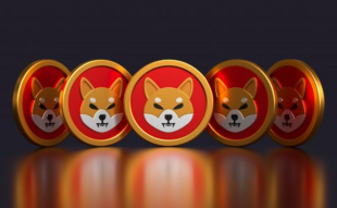 Shiba Inu Price Prediction: SHIB Drops 2% – What's Causing the Downward Trend?