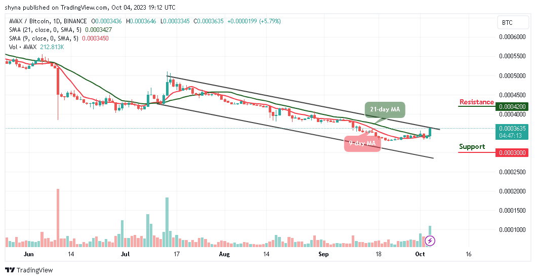 Avalanche Price Prediction for Today, October 6 – AVAX Technical Analysis