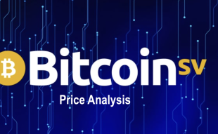 Bitcoin SV Price Analysis