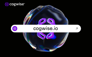 Cogwise Raises $200k
