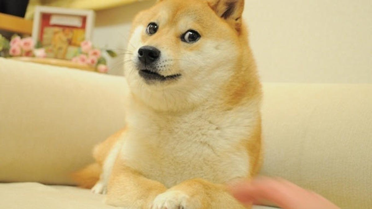 Dogecoin Price Prediction: DOGE Surges 7% As This New Version In Presale Rockets Towards $6M