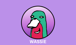 WASSIE
