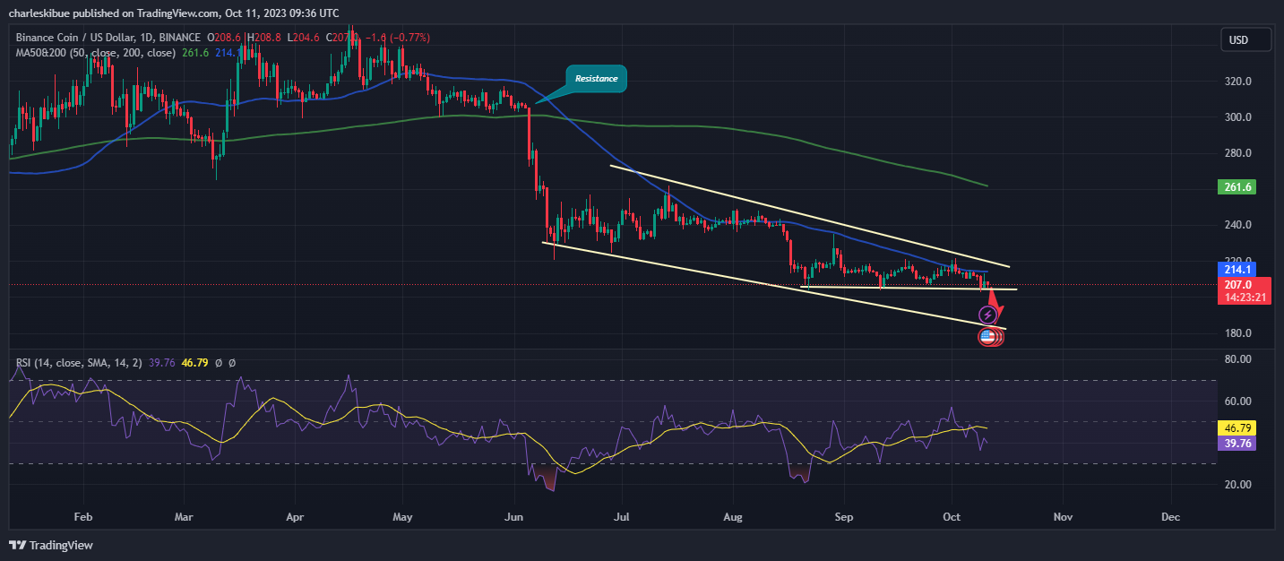 BNB/USD Chart Analysis. Source: Tradingview.com
