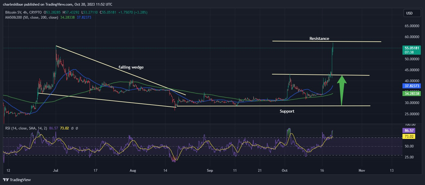 BSV Chart Analysis. Source: Tradingview.com