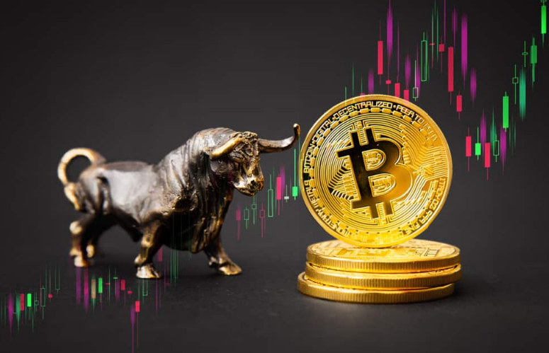 BTC Bull