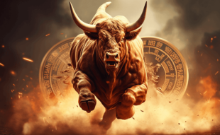 Bitcoin Bull