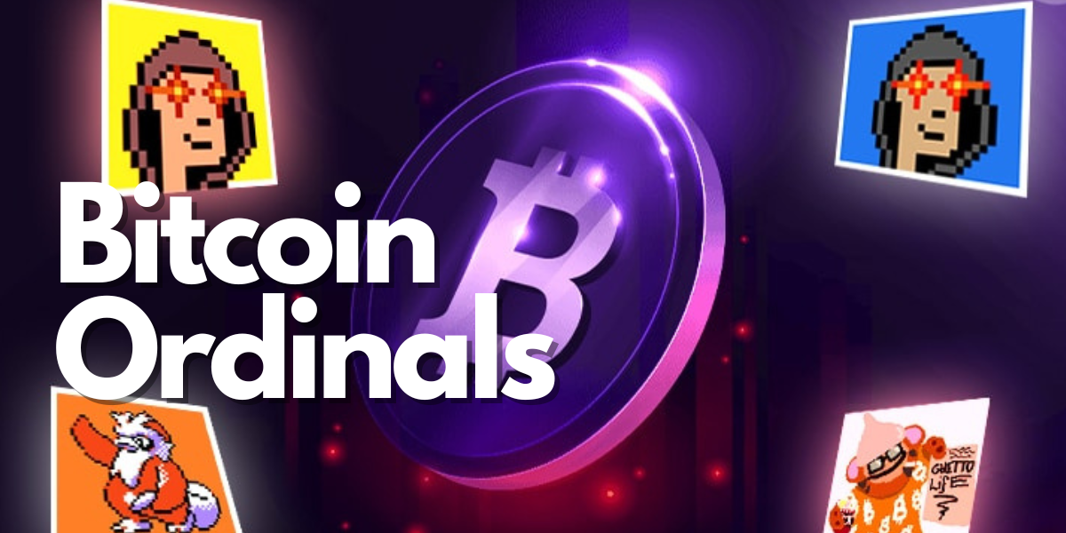 Elon Musk Talks About NFTs – Here's Why He Might Adopt Bitcoin Ordinals ...