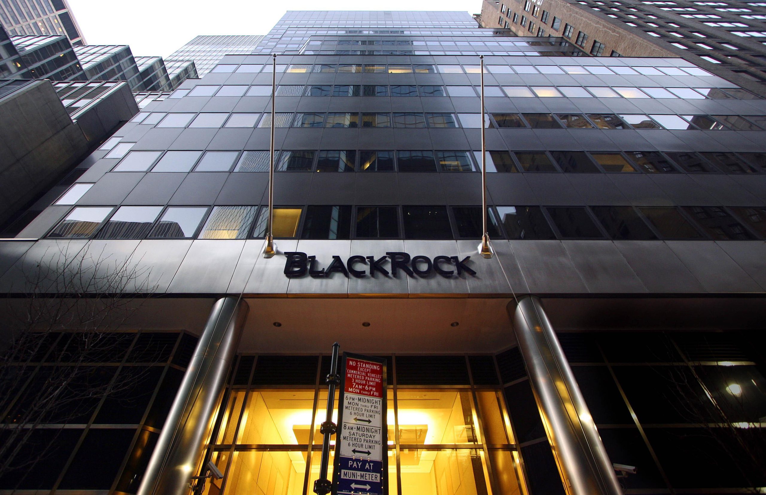BlackRock Account Flooded With Meme Coins And NFTs As Crypto Community Plays With Giant Fund Manager