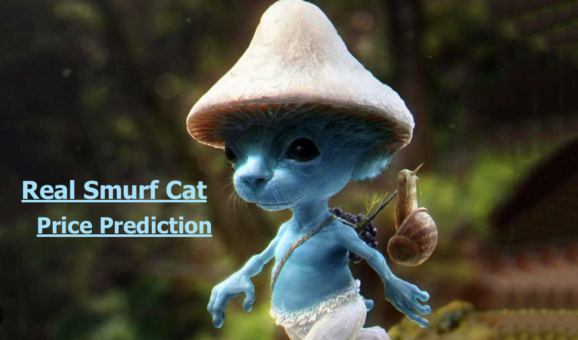 Real Smurf Cat Price Prediction: шайлушай Plunges 15% As Its 350% Bull Run Stalls, But There’s No Stopping This New Meme Coin Upstart