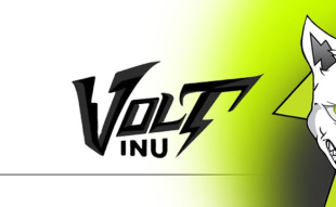 Volt feature image