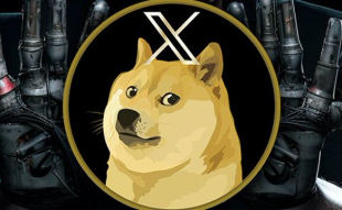 XDOGE