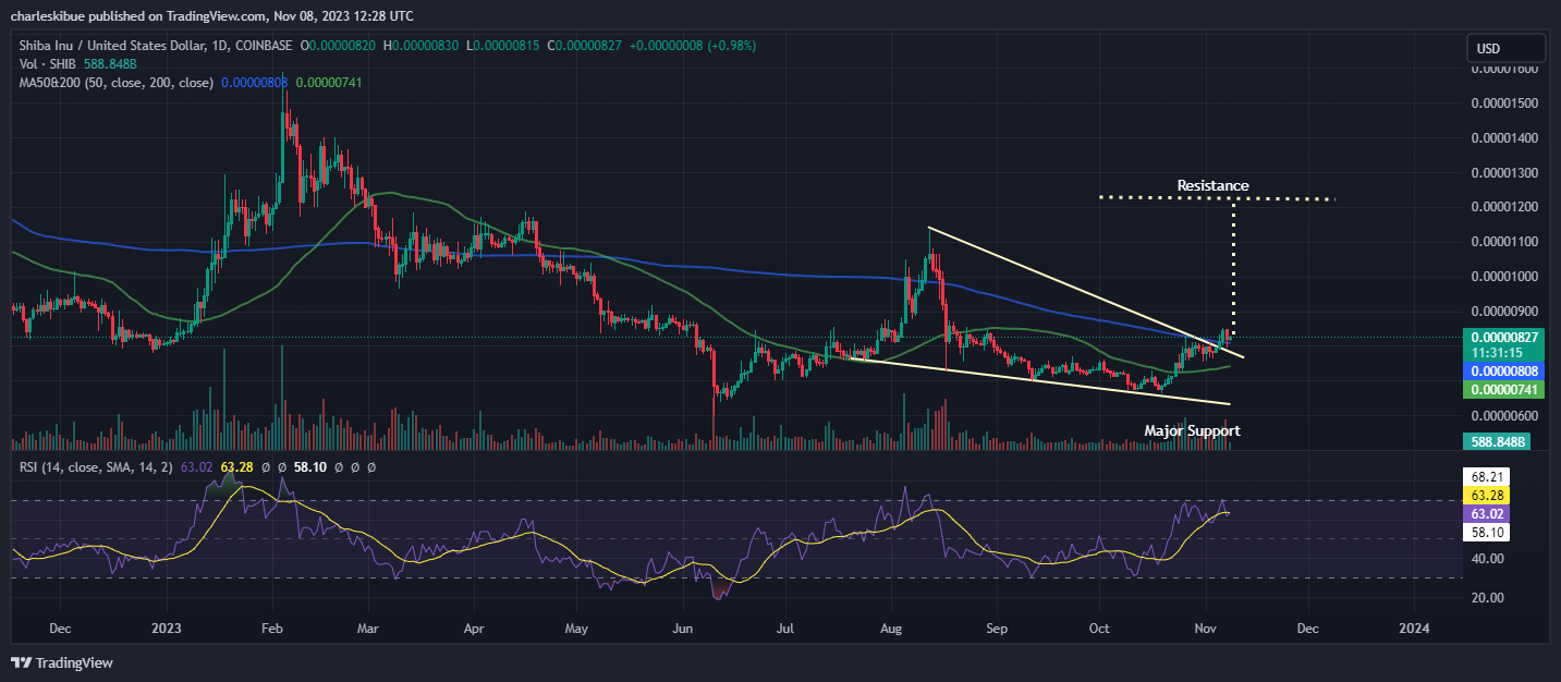 SHIBA INU PRICE Chart Analysis. Source: Tradingview.com