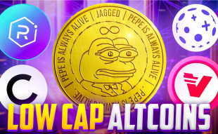Top 5 Low Cap Altcoin Gems That Could Explode in the Next Bull Market