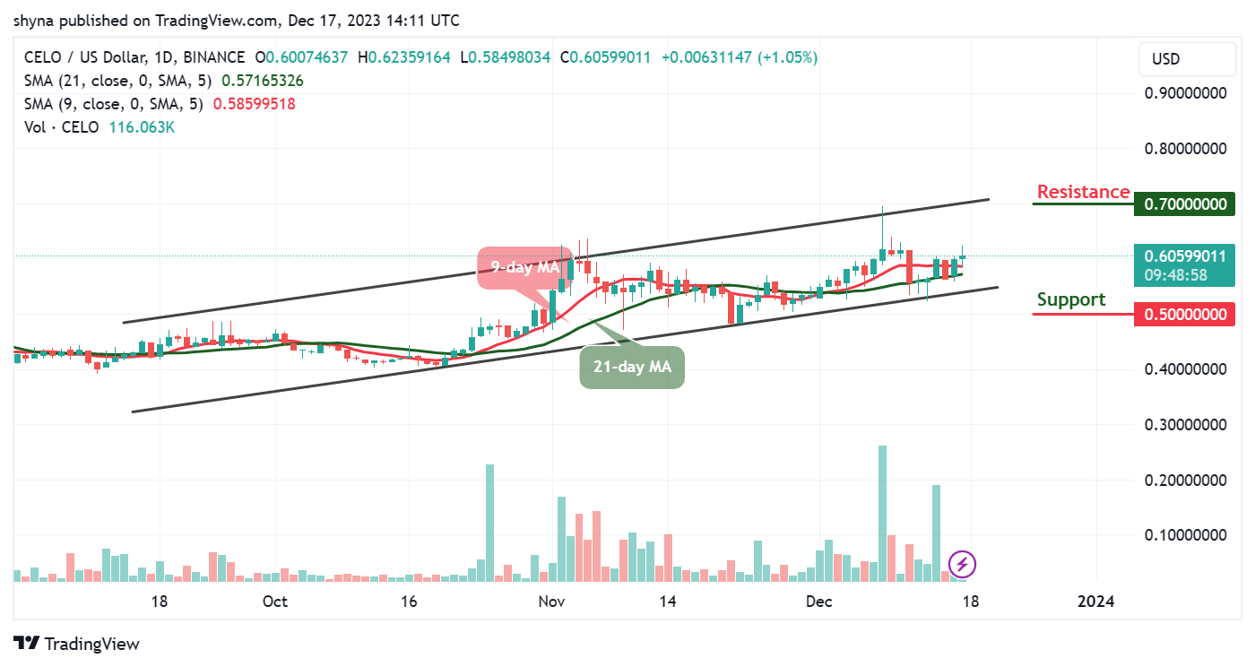 Celo price prediction for today, December 18 – CELO technical analysis