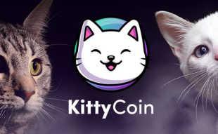 Kitty Coin