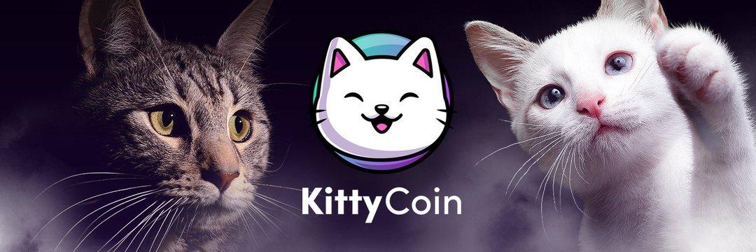 Top Trending Crypto Coins on DEXTools – Kitty Coin, Solend, ArbInu