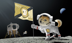 Dogecoin Price