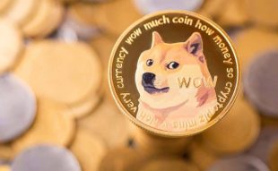 Dogecoin price