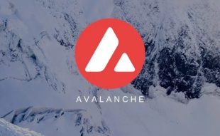 Avalanche price