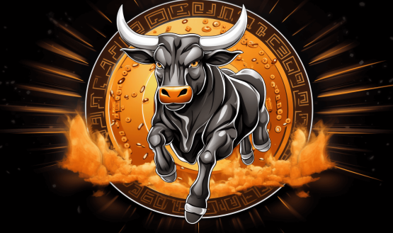 crypto bull run