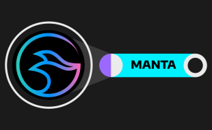 Manta Network price