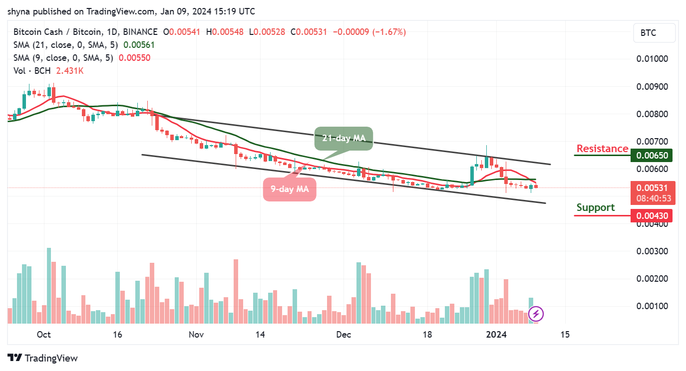 Bitcoin Cash Price Prediction for Today, January 9 – BCH Technical Analysis